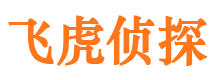 张家口市调查公司